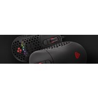 Genesis Xenon 800 Image #24