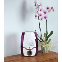 Eldom NU5 Foggy Image #7