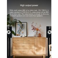 Topping PA3s (серебристый) Image #9