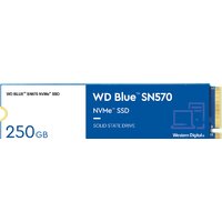 WD Blue SN570 250GB WDS250G3B0C