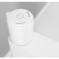 IDDIS Slide SLIWTBTi01 Image #7