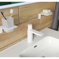 IDDIS Slide SLIWTBTi01 Image #10