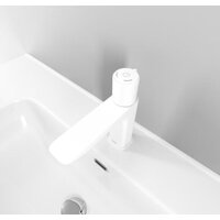 IDDIS Slide SLIWTBTi01 Image #5