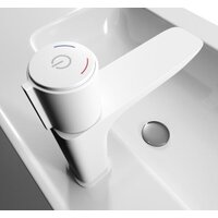 IDDIS Slide SLIWTBTi01 Image #6