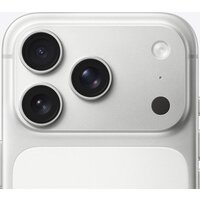 Apple iPhone 17 Pro Dual eSim 512GB (серебристый) Image #4