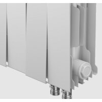 Royal Thermo PianoForte 200 Noir Sable VDR (14 секций) Image #3