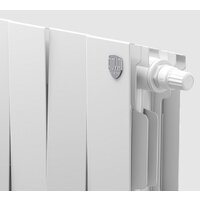 Royal Thermo PianoForte 200 Noir Sable VDR (14 секций) Image #4