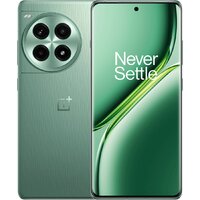 OnePlus Ace 3 Pro 12GB/256GB китайская версия (зеленый лес)
