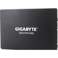 Gigabyte 120GB GP-GSTFS31120GNTD