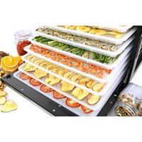 Tribest Sedona Combo Rawfood SD-P9150 (пластиковые лотки) Image #10