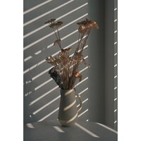 Nikon Z50 II Double Kit 16-50mm VR + 50-250mm VR Image #44