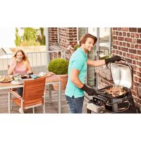 Weber Pulse 1000 Image #7