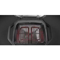 Weber Pulse 1000 Image #4