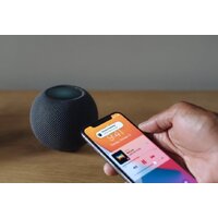 Apple HomePod Mini (полуночный) Image #4