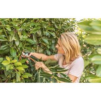 Bosch EasyPrune Image #2