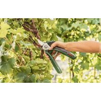 Bosch EasyPrune Image #4