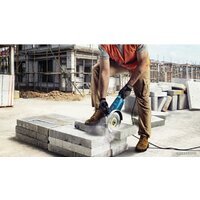 Bosch GWS 2200 Professional 06018C1320 Image #6