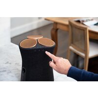 Sony SRS-RA5000 Image #10