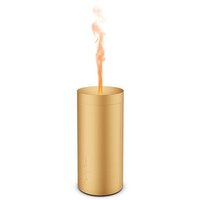 Stadler Form Lucy (золото)