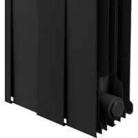 Royal Thermo PianoForte 300 /Noir Sable - 14 секций Image #6