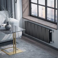 Royal Thermo PianoForte 300 /Noir Sable - 14 секций Image #7