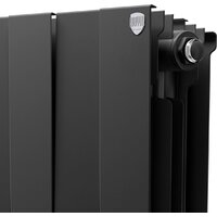 Royal Thermo PianoForte 300 /Noir Sable - 14 секций Image #5