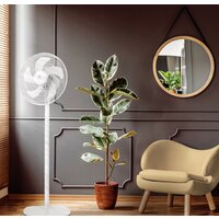 Electrolux EFF-1005 Image #2