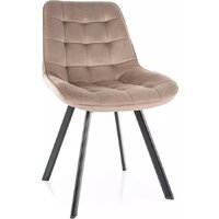 Signal Monti Velvet Bluvel 40 (темно-бежевый/черный)