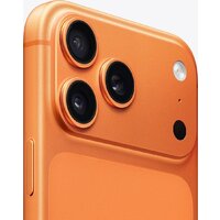 Apple iPhone 17 Pro Max 2TB (космический оранжевый) Image #4