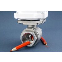 Gidrolock Winner Radio Bonomi 3/4" Image #4