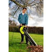 Ryobi RBV3000CESV Image #4