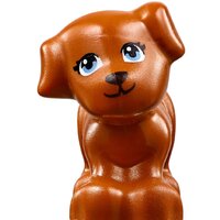 LEGO Friends 41396 Игровая площадка для щенков Image #11